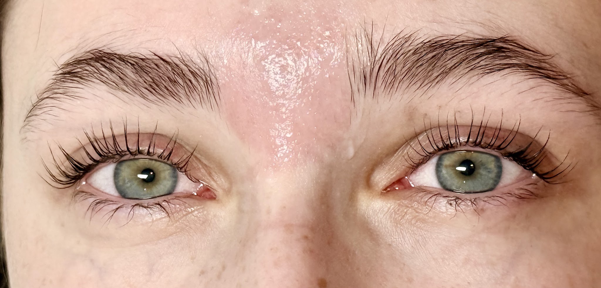 Laminated brows & lifted lashes