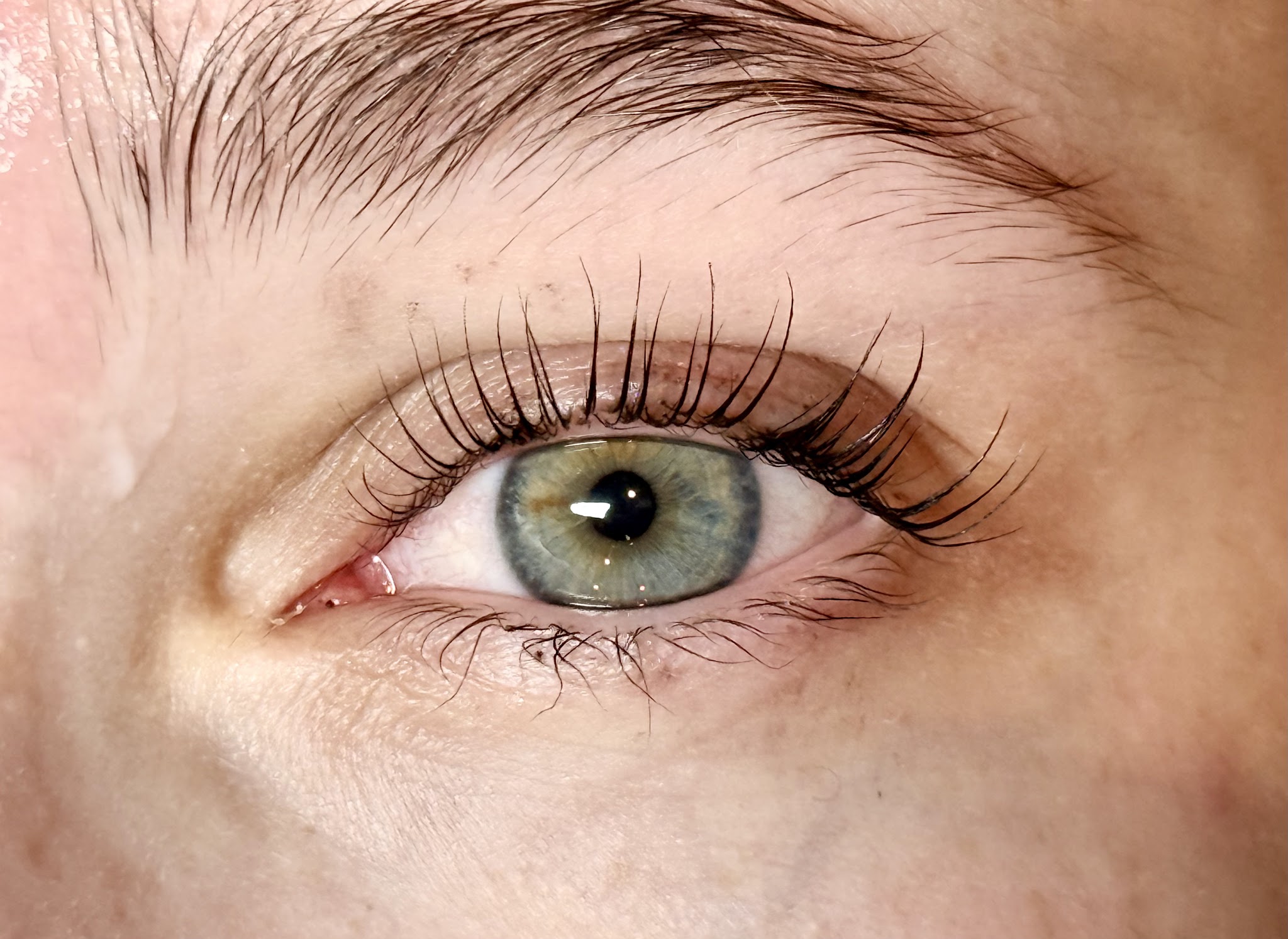 Lifted and tinted lashes with a tidy brow